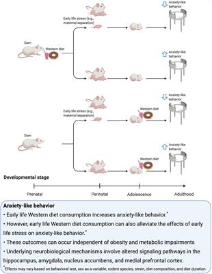 Western Diet Consumption During Development: Setting the Stage for Neurocognitive Dysfunction